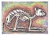 "Skeleton Boxer" by Artist Mollie Chounard