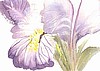 "Iris" by Artist Renea Erickson $100