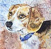 Basil
