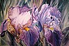 Purple Passion (Print)