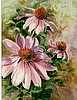 Coneflowers II (PRINT)