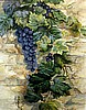 Fruit of The Vine (Print)