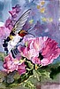 Ruby Throat (Print)