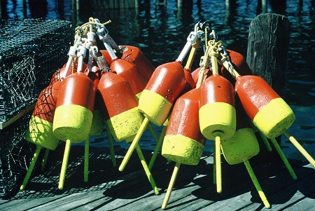 "Buoys" Photography by Ron Edwards