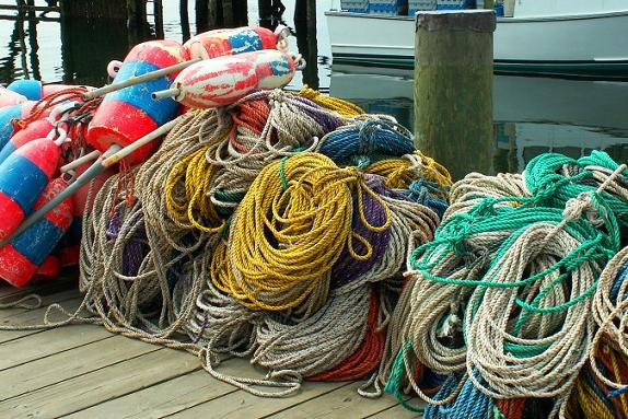 "Maine Buoys Rope on Dock" by Ron Edwards