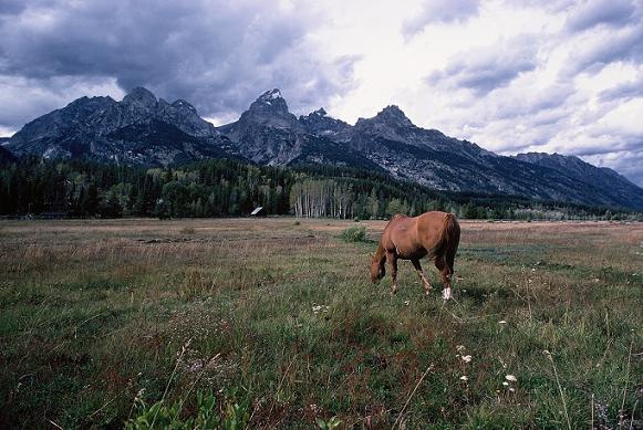 "Teton Dream" Photography by Ron Edwards