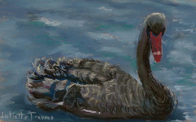 "Black Swan II" by artist Juliette Travous.