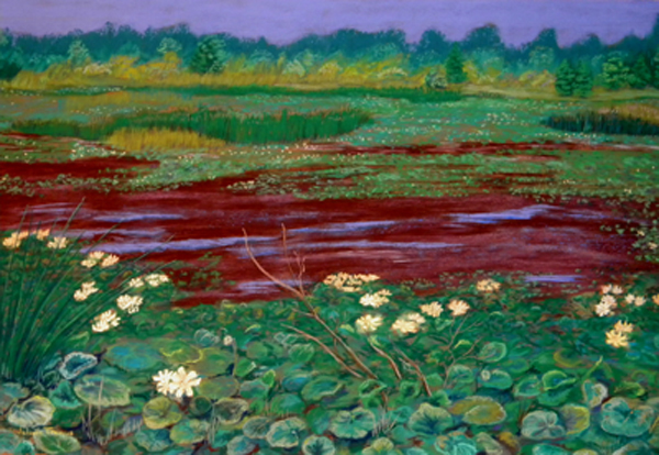 Wetland's Bouquet