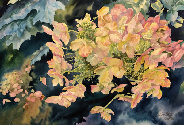 Hydrangeas III