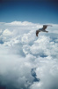 "Reaching Out" Photography by Ron Edwards
