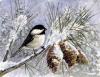 "Chickadee" by Artist Ken Farris