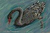 "Black Swan I" by artist Juliette Travous.
