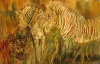 "African Stripes" by Linda S. Wilmes